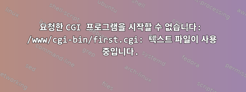 요청한 CGI 프로그램을 시작할 수 없습니다: /www/cgi-bin/first.cgi: 텍스트 파일이 사용 중입니다.