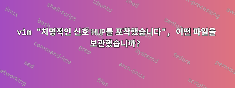 vim "치명적인 신호 HUP를 포착했습니다", 어떤 파일을 보관했습니까?