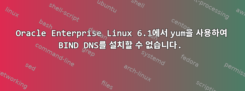 Oracle Enterprise Linux 6.1에서 yum을 사용하여 BIND DNS를 설치할 수 없습니다.