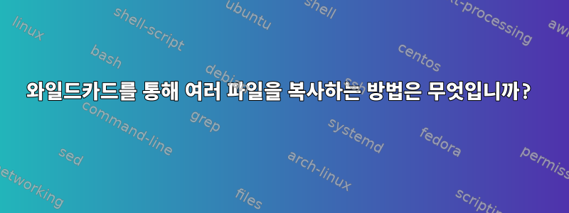 와일드카드를 통해 여러 파일을 복사하는 방법은 무엇입니까?