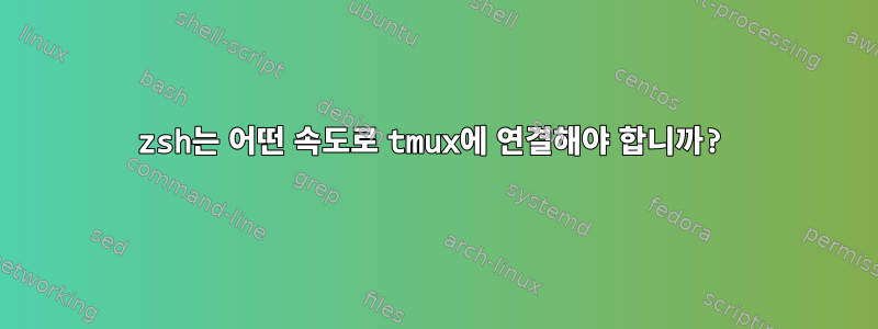 zsh는 어떤 속도로 tmux에 연결해야 합니까?