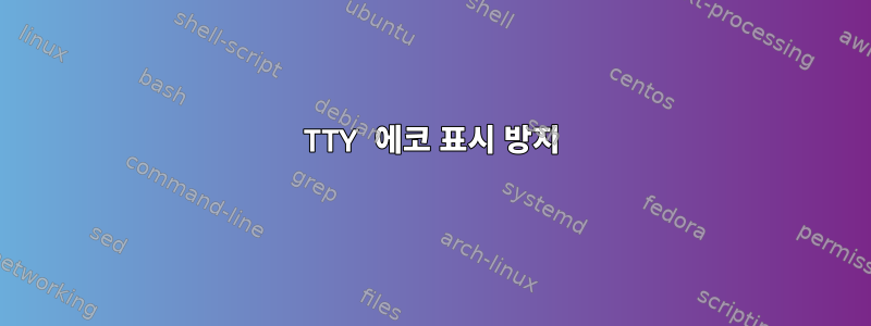 TTY 에코 표시 방지