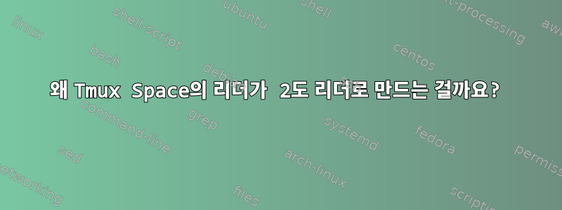 왜 Tmux Space의 리더가 2도 리더로 만드는 걸까요?