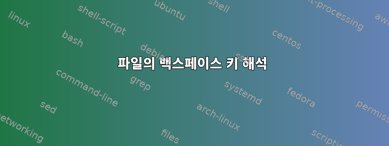 파일의 백스페이스 키 해석