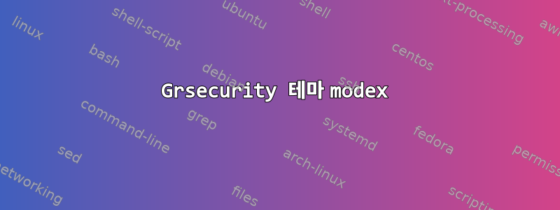 Grsecurity 테마 modex