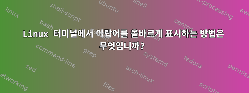 Linux 터미널에서 아랍어를 올바르게 표시하는 방법은 무엇입니까?