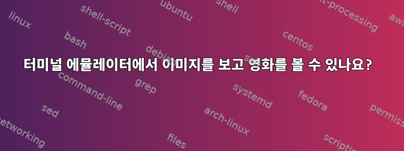 터미널 에뮬레이터에서 이미지를 보고 영화를 볼 수 있나요?