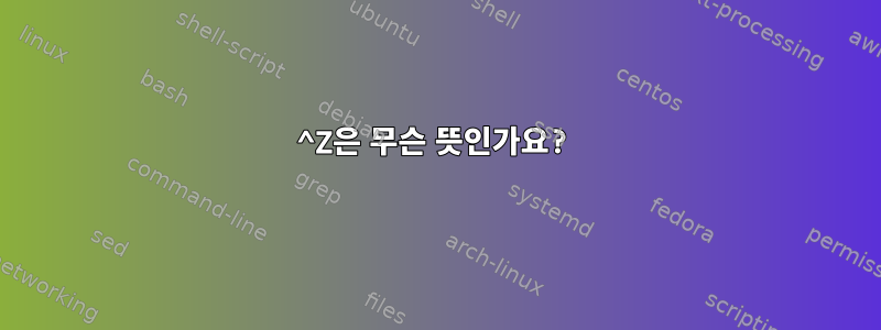 ^Z은 무슨 뜻인가요?