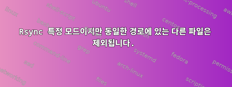 Rsync 특정 모드이지만 동일한 경로에 있는 다른 파일은 제외됩니다.