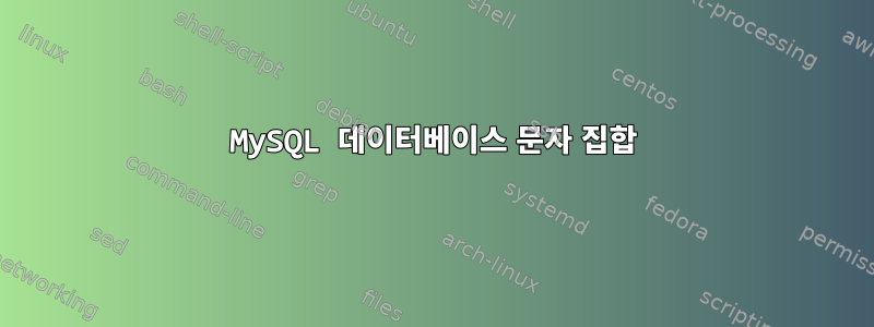 MySQL 데이터베이스 문자 집합