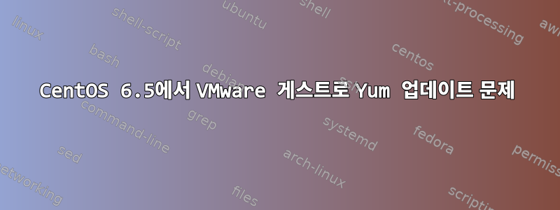 CentOS 6.5에서 VMware 게스트로 Yum 업데이트 문제