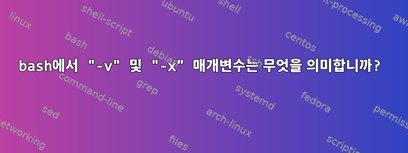 bash에서 "-v" 및 "-x" 매개변수는 무엇을 의미합니까?