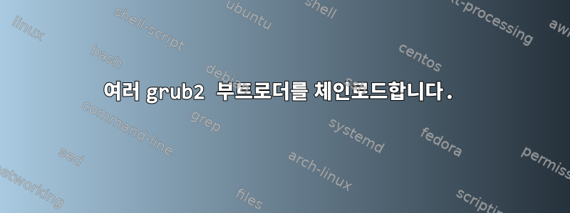 여러 grub2 부트로더를 체인로드합니다.