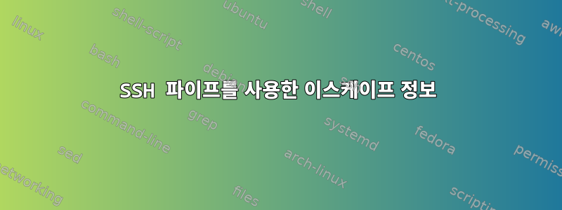 SSH 파이프를 사용한 이스케이프 정보