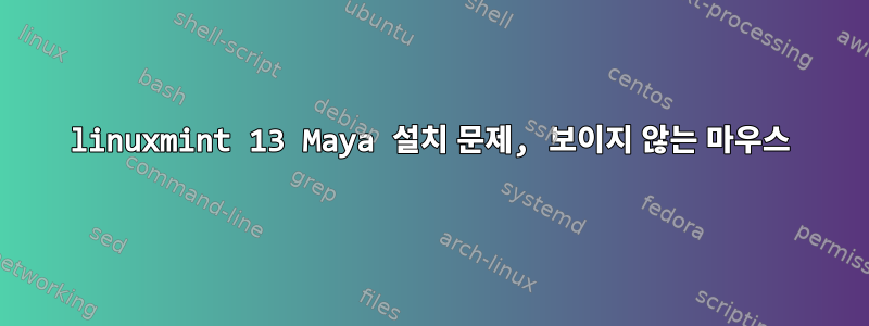 linuxmint 13 Maya 설치 문제, 보이지 않는 마우스