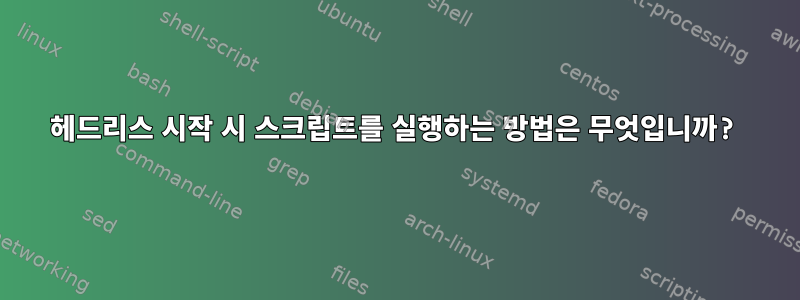 헤드리스 시작 시 스크립트를 실행하는 방법은 무엇입니까?