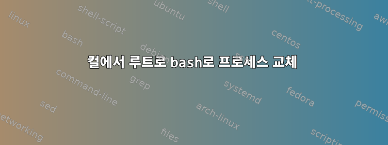 컬에서 루트로 bash로 프로세스 교체