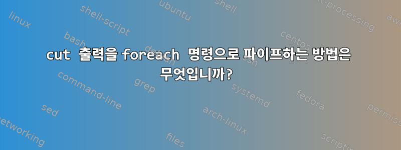 cut 출력을 foreach 명령으로 파이프하는 방법은 무엇입니까?