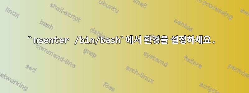 `nsenter /bin/bash`에서 환경을 설정하세요.