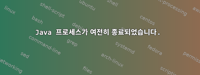 Java 프로세스가 여전히 종료되었습니다.