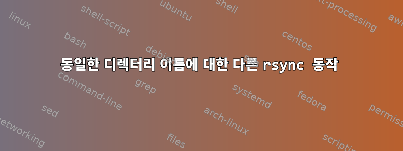 동일한 디렉터리 이름에 대한 다른 rsync 동작