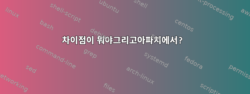 차이점이 뭐야그리고아파치에서?