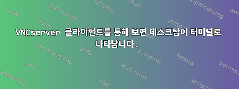 VNCserver 클라이언트를 통해 보면 데스크탑이 터미널로 나타납니다.