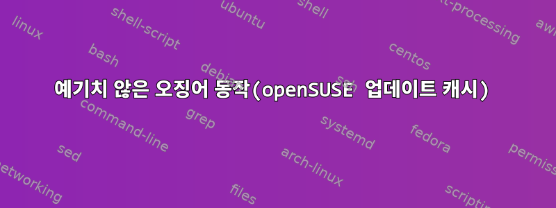 예기치 않은 오징어 동작(openSUSE 업데이트 캐시)