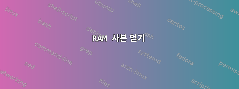 RAM 사본 얻기