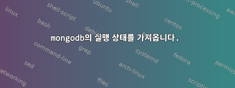 mongodb의 실행 상태를 가져옵니다.