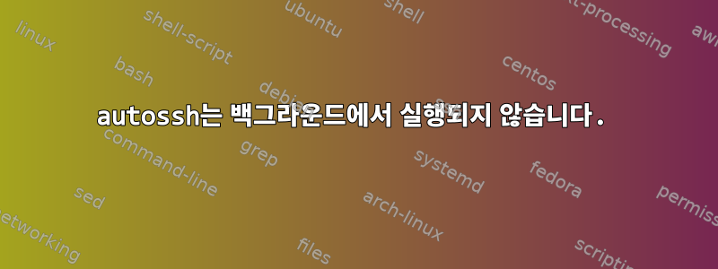 autossh는 백그라운드에서 실행되지 않습니다.