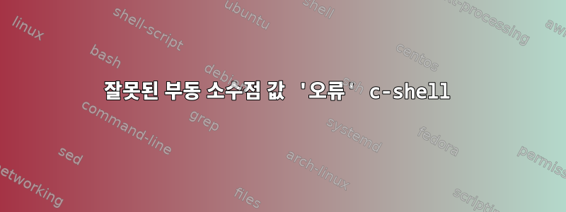 잘못된 부동 소수점 값 '오류' c-shell