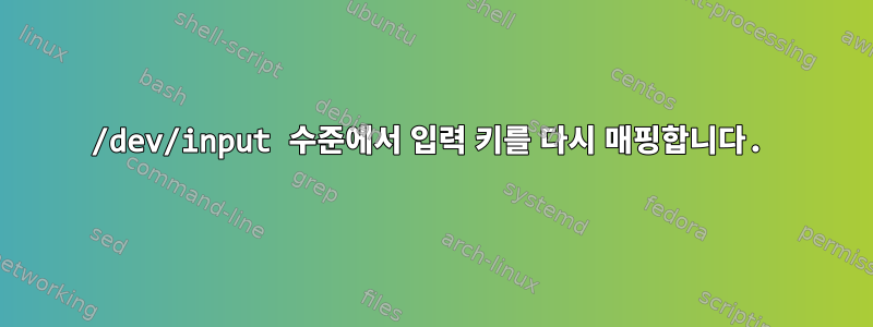 /dev/input 수준에서 입력 키를 다시 매핑합니다.