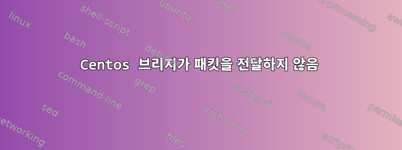 Centos 브리지가 패킷을 전달하지 않음