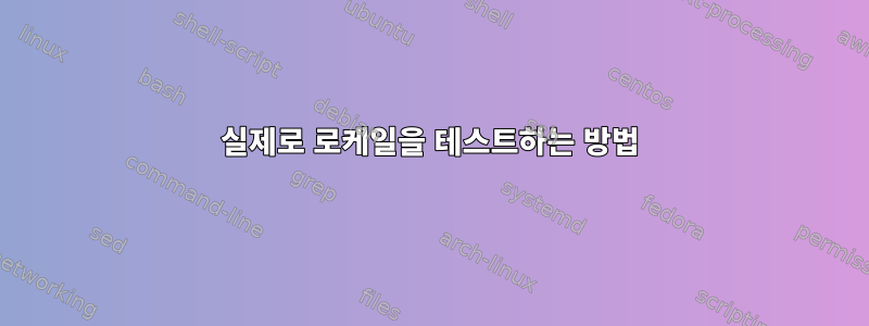 실제로 로케일을 테스트하는 방법