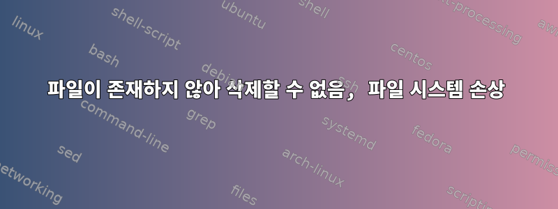 파일이 존재하지 않아 삭제할 수 없음, 파일 시스템 손상