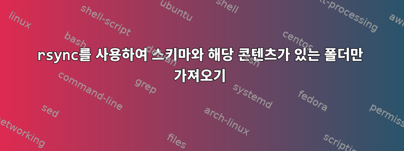 rsync를 사용하여 스키마와 해당 콘텐츠가 있는 폴더만 가져오기