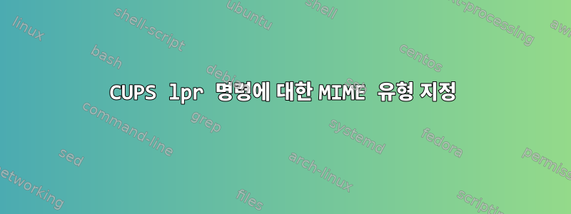 CUPS lpr 명령에 대한 MIME 유형 지정