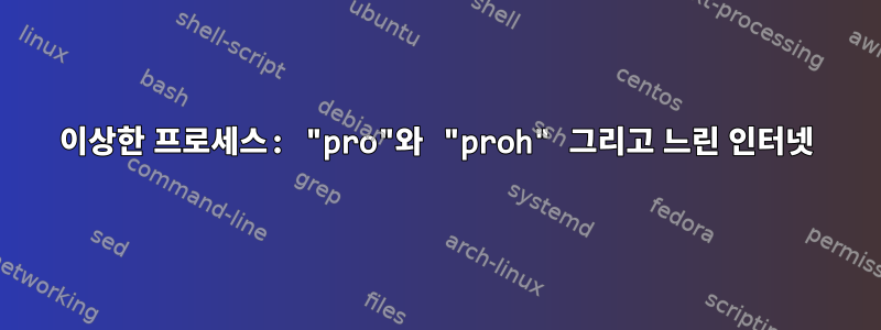이상한 프로세스: "pro"와 "proh" 그리고 느린 인터넷