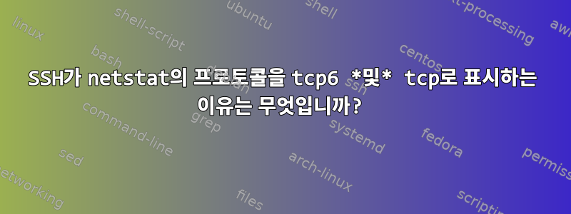 SSH가 netstat의 프로토콜을 tcp6 *및* tcp로 표시하는 이유는 무엇입니까?