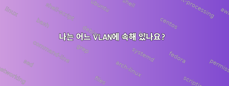 나는 어느 VLAN에 속해 있나요?