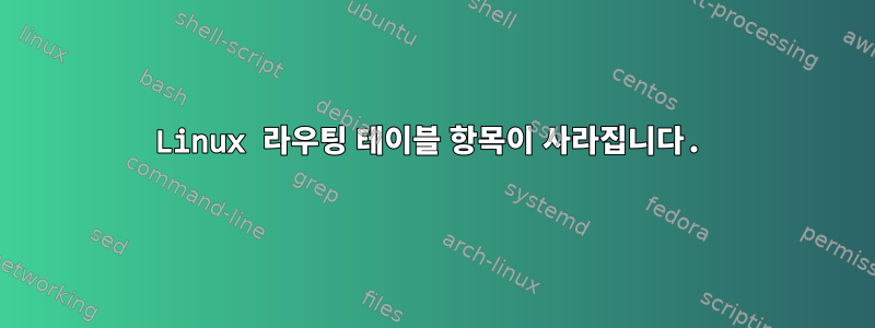 Linux 라우팅 테이블 항목이 사라집니다.