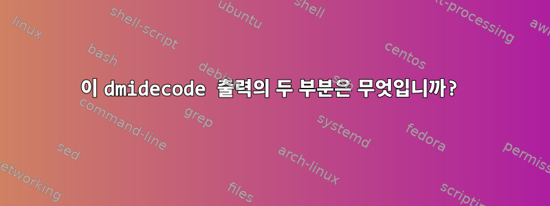 이 dmidecode 출력의 두 부분은 무엇입니까?