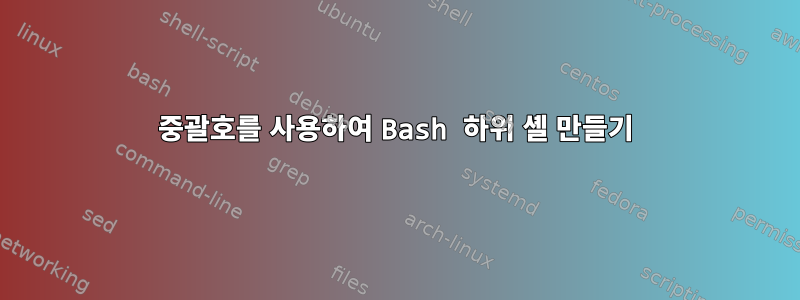 중괄호를 사용하여 Bash 하위 셸 만들기