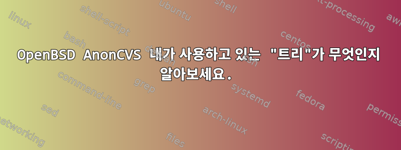 OpenBSD AnonCVS 내가 사용하고 있는 "트리"가 무엇인지 알아보세요.