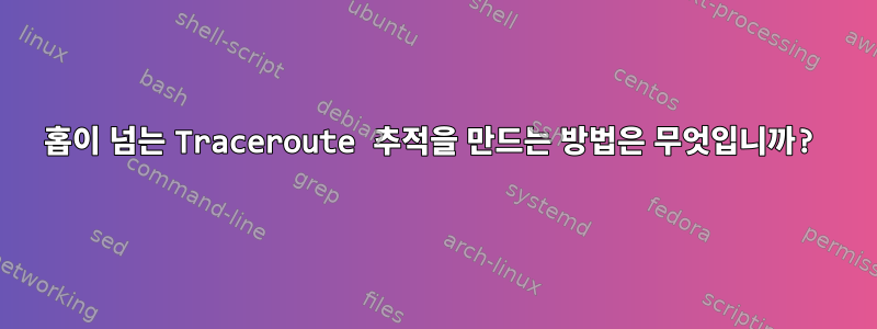 30홉이 넘는 Traceroute 추적을 만드는 방법은 무엇입니까?