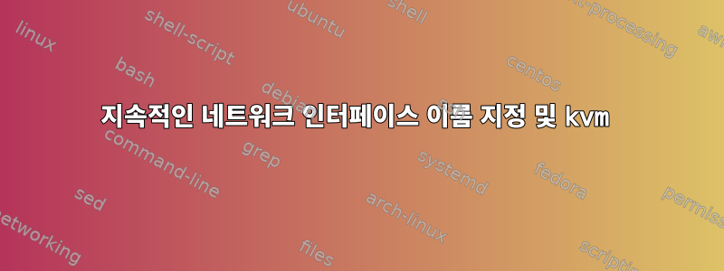 지속적인 네트워크 인터페이스 이름 지정 및 kvm