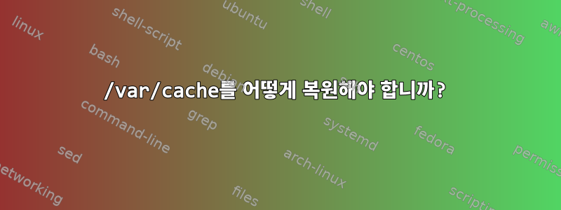 /var/cache를 어떻게 복원해야 합니까?