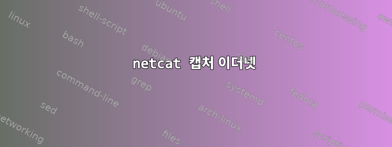 netcat 캡처 이더넷