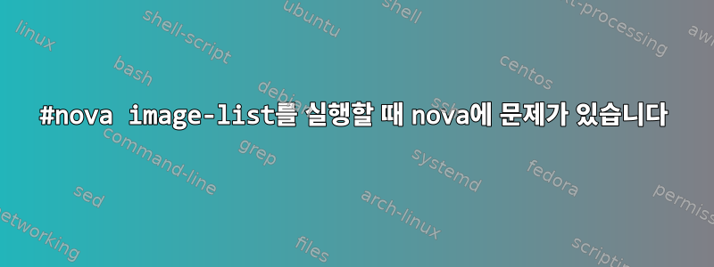 #nova image-list를 실행할 때 nova에 문제가 있습니다